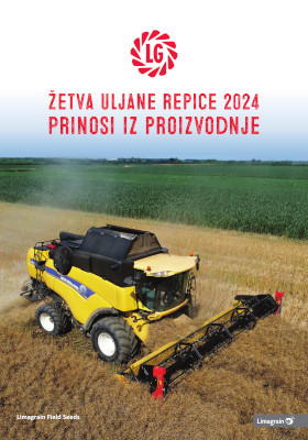 Žetva uljane repice 2024